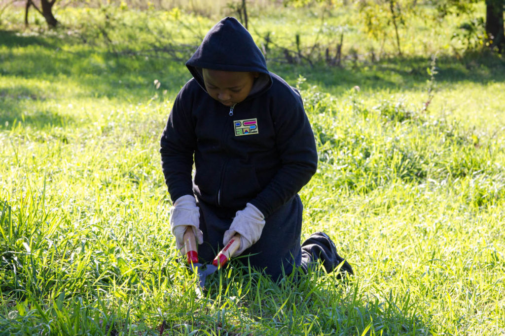 Petal Pusher Volunteer